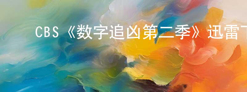 曹艳芝的动漫综艺大全,CBS《数字追凶第二季》迅雷下载/在线观看/百度云-犯罪/历史载-美剧天堂